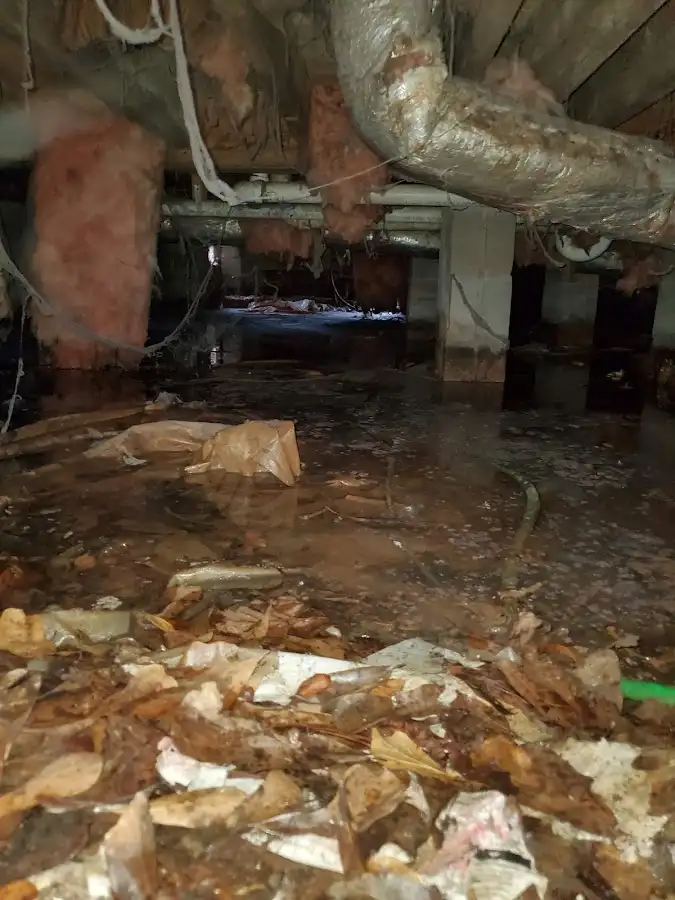 Crawl space flood assessment for Leak Detection & Repair in Ellisville