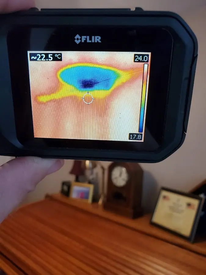 Thermal imaging inspection for water damage in Ellisville