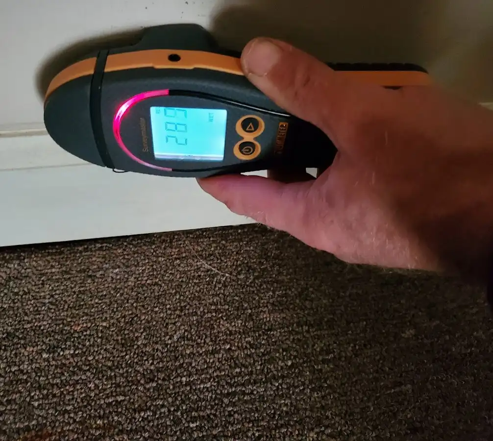 Moisture detection at baseboard during Mold Inspection & Testing in Ellisville